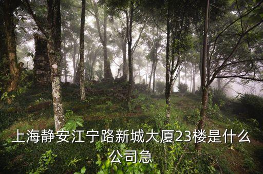 上海眾城大廈第23層是什么，上海浦東新區(qū)東方路818號眾城大廈1604室是什么公司啊
