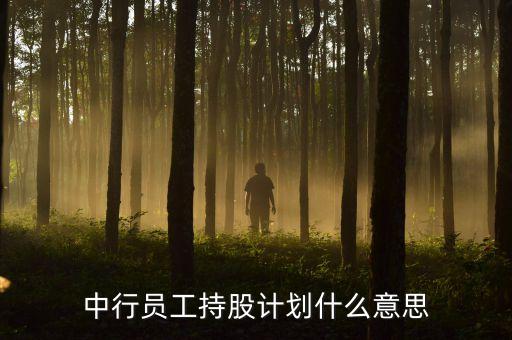 員工持股意味著什么，為什么要員工持股為什么老總要增持