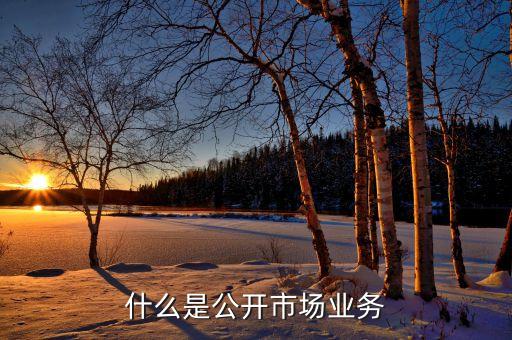 什么是公開(kāi)市場(chǎng)，什么是公開(kāi)市場(chǎng)