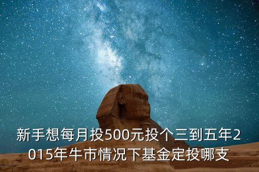 2015年新手買什么基金好，2015買什么基金比較好
