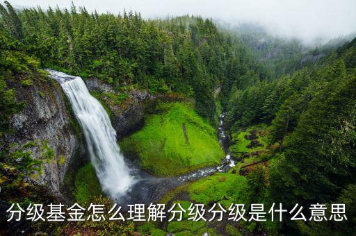 分級b基金什么意思，貨幣市場基金ab級各指什么含義