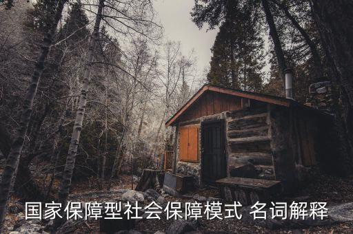 保障型保險(xiǎn)什么意思，國家保障型社會(huì)保障模式 名詞解釋