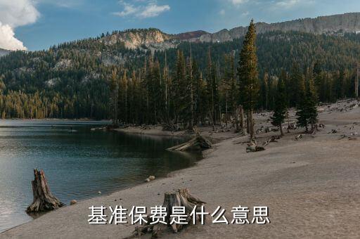 標(biāo)準(zhǔn)保費(fèi)是什么意思，請(qǐng)問基本保險(xiǎn)費(fèi)和標(biāo)準(zhǔn)保險(xiǎn)費(fèi)分別是什么