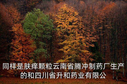 騰沖制藥廠是什么企業(yè)，云南騰沖制藥廠制造的人參再造丸