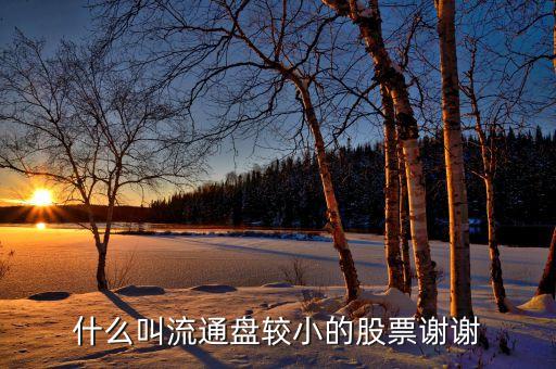 流通股很少的股票有什么特點，流通值小流通股本小的特點是什么