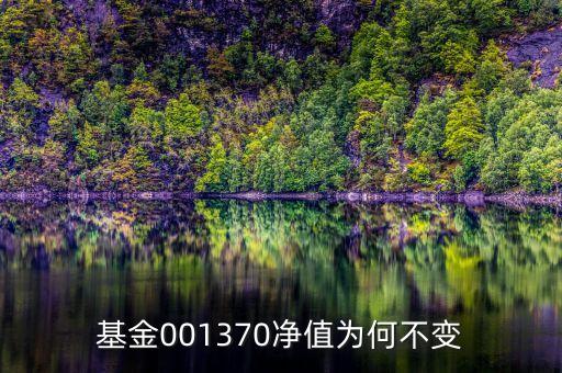 基金為什么無(wú)變化，基金三天了凈值沒(méi)變化是什么原因