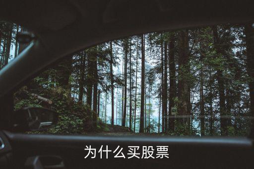 為什么會(huì)買(mǎi)股票，為什么買(mǎi)股票