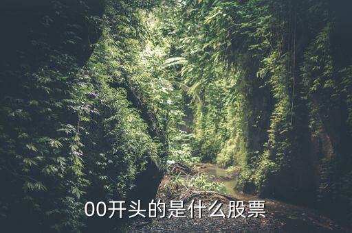 834102是什么股票，00開(kāi)頭的是什么股票