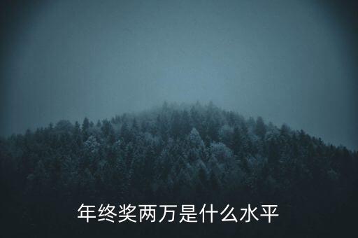 年終獎10000什么水平，月薪1700年終獎一萬算什么水平
