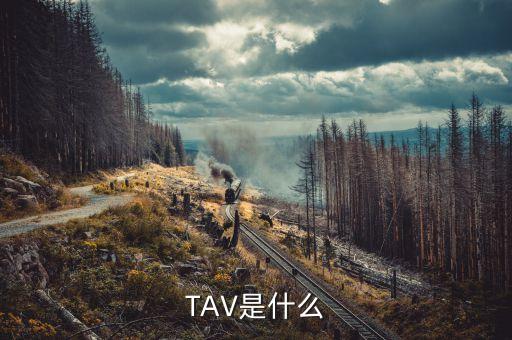 什么是孕線，TAV是什么