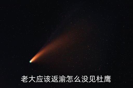 張曉強杜鷹為什么，發(fā)改委副主任杜鷹是誰的孩子