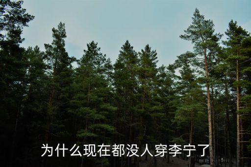 李寧為什么不行了，李寧公司為何一夜垮臺