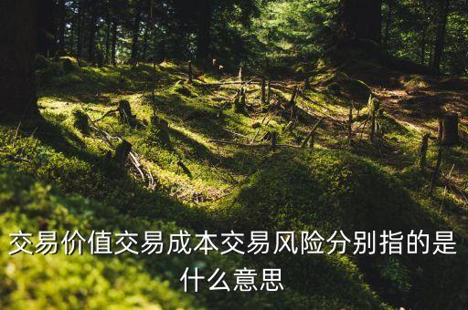 交易成本是什么，什么是交易費(fèi)用
