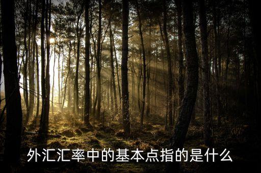 外匯基點(diǎn)是什么意思，外匯匯率中的基本點(diǎn)指的是什么