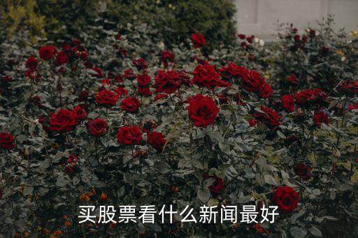 炒股看什么看什么財經(jīng)，有什么比較好的推薦股票的財經(jīng)節(jié)目