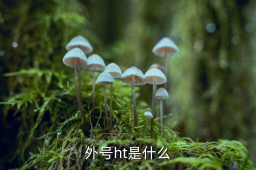 買受人號碼ht是什么，備案合同中買受人號碼HT