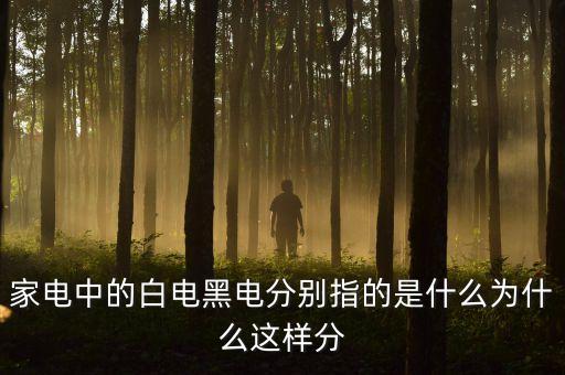 三星白電是什么意思，家電中的白電黑電分別指的是什么為什么這樣分