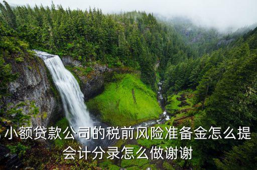 小貸公司風(fēng)險(xiǎn)撥備是什么，風(fēng)險(xiǎn)撥備金是什么樂錢有嗎