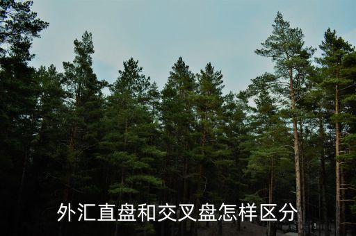 什么叫交叉盤(pán)，什么叫交叉盤(pán)hg0088誰(shuí)能跟我指點(diǎn)一下嗎