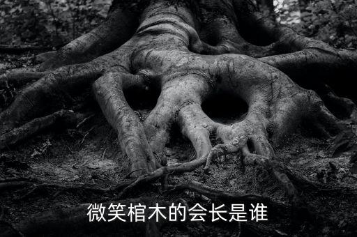 微笑棺木的會(huì)長(zhǎng)是誰