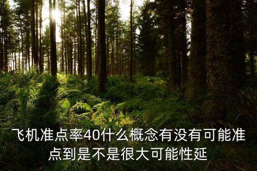 飛機準(zhǔn)點率40什么概念有沒有可能準(zhǔn)點到是不是很大可能性延