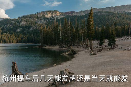 杭州車(chē)牌什么時(shí)候發(fā)放，杭州車(chē)牌拍好多久拿到
