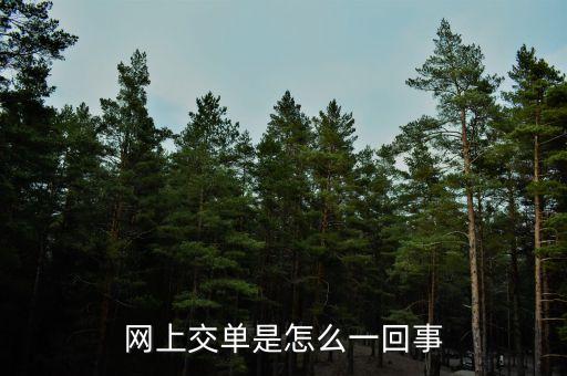 什么叫電子交單，網(wǎng)上交單是怎么一回事