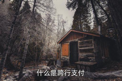 什么是跨行清算，什么叫跨行