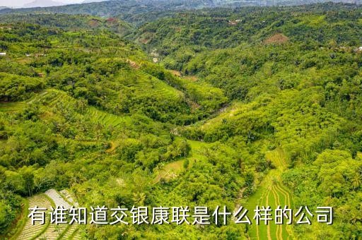 交銀康聯(lián)是什么公司，有誰(shuí)知道交銀康聯(lián)是什么樣的公司