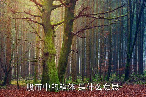 股市箱體是什么，股票的箱體指什么
