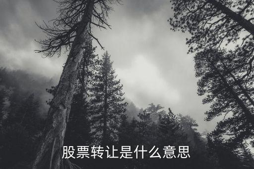 股票轉讓是什么意思，股票中的資產(chǎn)轉讓是什么意思
