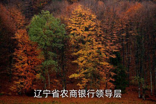 遼寧什么信用聯(lián)社理事長名單，遼寧省農(nóng)村信用社聯(lián)合社現(xiàn)在叫什么名