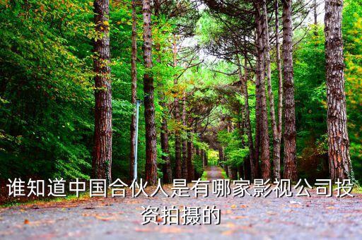 黃曉明投資公司叫什么，誰知道中國合伙人是有哪家影視公司投資拍攝的