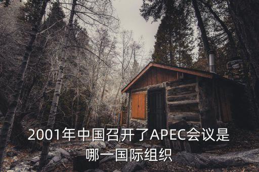 中國(guó)舉行合作論壇首次論壇是什么，論壇是什么