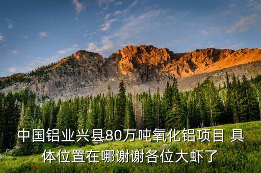 中鋁蔡安輝什么級別，中國鋁業(yè)興縣80萬噸氧化鋁項目 具體位置在哪謝謝各位大蝦了