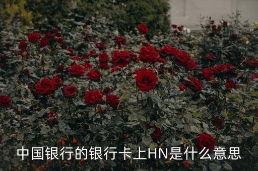 中國銀行n是什么意思，中國銀行的銀行卡上HN是什么意思