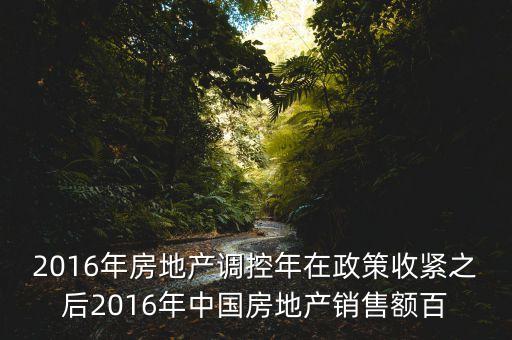 2016房市下一步還能出什么政策，2016年房地產(chǎn)調(diào)控年在政策收緊之后2016年中國(guó)房地產(chǎn)銷售額百