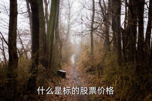 標的股是什么，融資融券標的股是什么意思