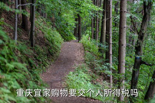 宜家買東西為什么收稅，重慶宜家購物要交個(gè)人所得稅嗎