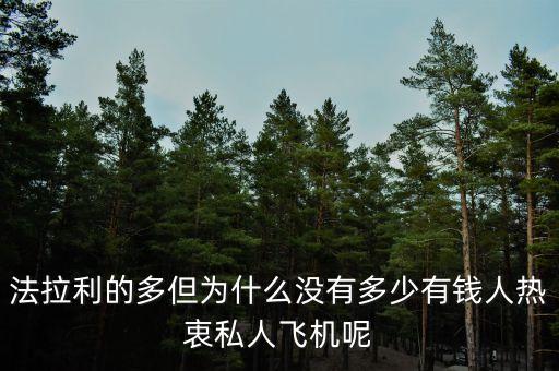 為什么富豪不買(mǎi)大飛機(jī)，公務(wù)機(jī)失寵富豪不再買(mǎi)貴買(mǎi)大