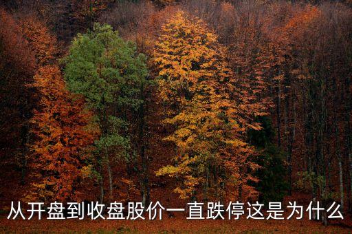 為什么開盤就跌停，從開盤到收盤股價一直跌停這是為什么