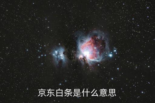 京東支持打白條什么意思，京東白條支付是什么意思