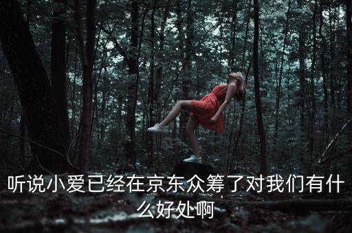 京東jimi機器人有什么作用，jimi 是什么意思