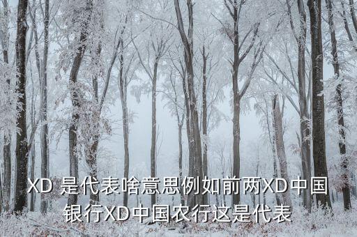 農(nóng)行中證代表什么，XD 是代表啥意思例如前兩XD中國銀行XD中國農(nóng)行這是代表