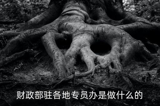 財(cái)專辦是什么，財(cái)政部駐各地專員辦是做什么的