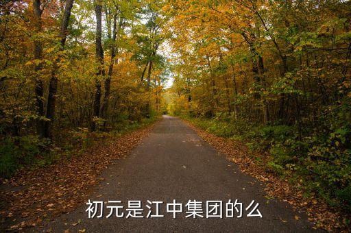 江中集團有什么保健品，初元是江中集團的么
