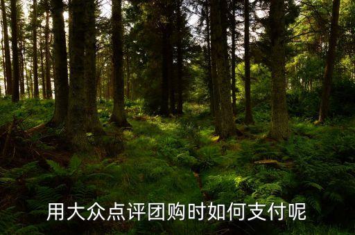 大眾點(diǎn)評(píng)網(wǎng)用什么支付，手機(jī)大眾點(diǎn)評(píng)有幾種支付方式
