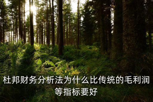 為什么要比較毛利率，杜邦財(cái)務(wù)分析法為什么比傳統(tǒng)的毛利潤(rùn)等指標(biāo)要好