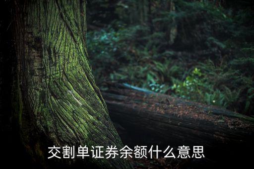 交割單中的剩余金額是什么，中原證券交割單里的本次金額什么意思