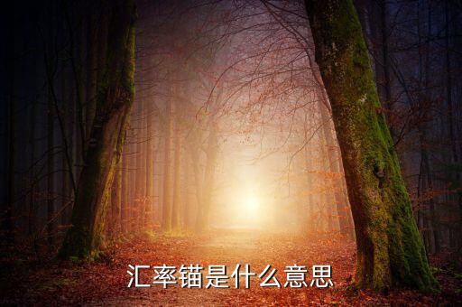 什么是利率錨，利率錨是什么意思 在線等